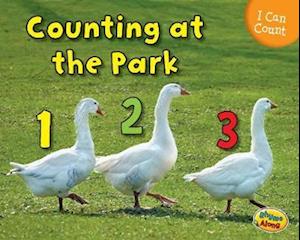 Counting at the Park