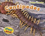 Centipedes