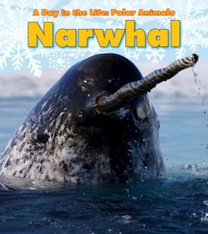 Narwhal