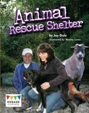 Animal Rescue Shelter