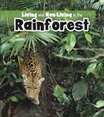 Living and Non-living in the Rainforest