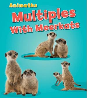 Multiples with Meerkats