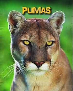 Pumas