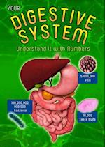 Your Digestive System