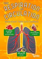 Your Respiration and Circulation