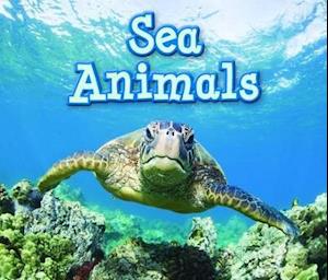 Sea Animals