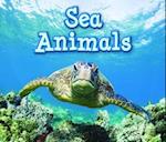 Sea Animals