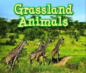 Grassland Animals