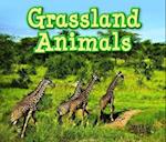 Grassland Animals