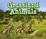 Grassland Animals