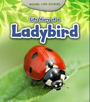 Life Story of a Ladybird