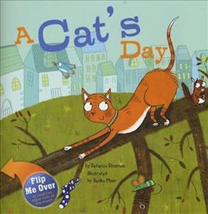 A Cat's Day