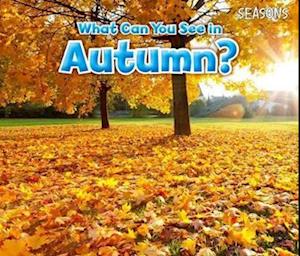 What Can You See In Autumn?