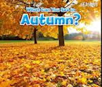 What Can You See In Autumn?