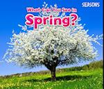 What Can You See In Spring?