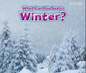 What Can You See In Winter?