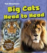 Big Cats Head to Head