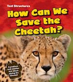 How Can We Save the Cheetah?