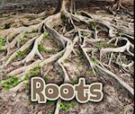 All About Roots