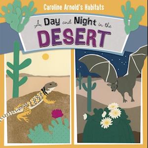 Day and Night in the Sonoran Desert