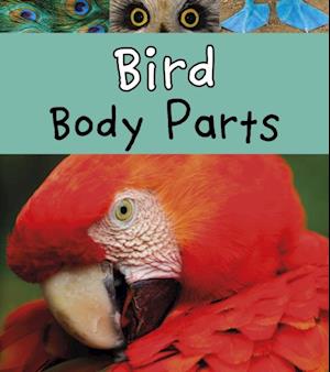 Bird Body Parts