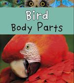 Bird Body Parts