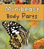 Minibeast Body Parts