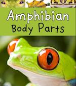 Amphibian Body Parts