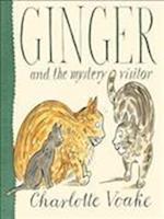 Ginger And The Mystery Visitor