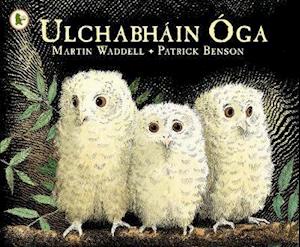 Ulchabháin Óga (Owl Babies)