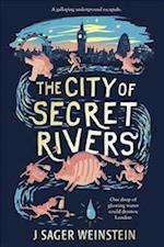 The City of Secret Rivers