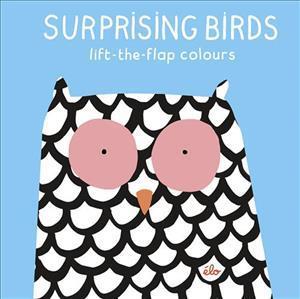 Surprising Birds: Lift-the-Flap Colours