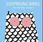 Surprising Birds: Lift-the-Flap Colours