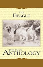 The Beagle - A Dog Anthology (A Vintage Dog Books Breed Classic)