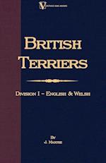 English and Welsh Terriers