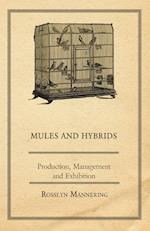 Mules and Hybrids - Production, Management and Exhibition