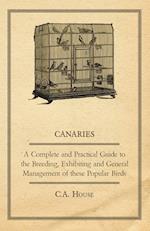 Canaries - A Complete and Practical Guide to the Breeding, Exhibiting and General Management of These Popular Birds