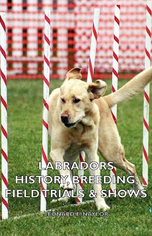 Labradors - History, Breeding, Field Trials & Shows