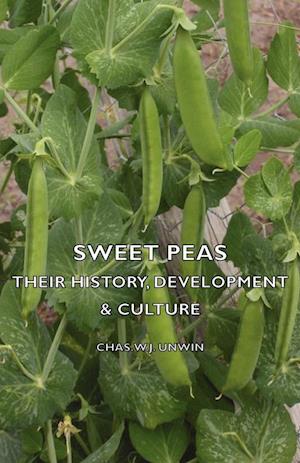 Sweet Peas - Their History, Development & Culture