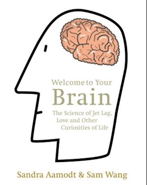 Welcome to Your Brain