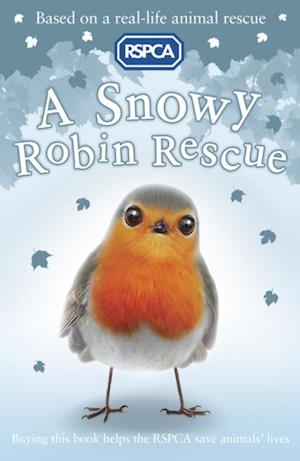 A Snowy Robin Rescue
