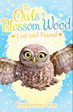 The Owls of Blossom Wood: Lost and Found