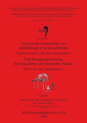 Gestion des combustibles au paléolithique et au mésolithique / Fuel  Management during the Palaeolithic and Mesolithic Periods