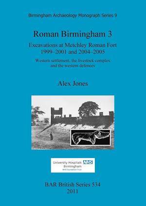 Roman Birmingham 3