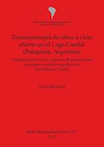 Zooarqueología de sitios a cielo abierto en el Lago Cardiel (Patagonia, Argentina)