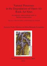 Natural Processes in the Degradation of Open-Air Rock-Art Sites