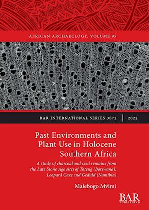 Past Environments and Plant Use in Holocene Southern Africa