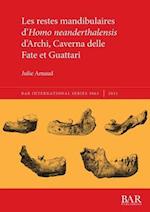 Les restes mandibulaires d'Homo neanderthalensis d'Archi, Caverna delle Fate et Guattari