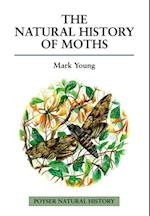 Natural History of Moths
