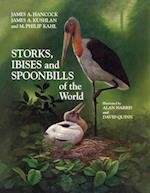 Storks, Ibises and Spoonbills of the World